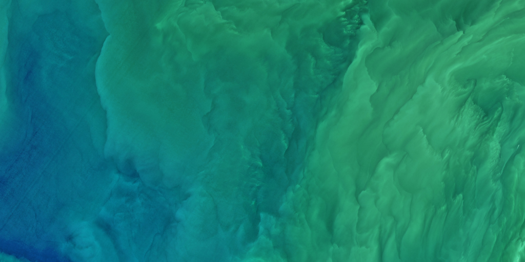 CDP+Banner