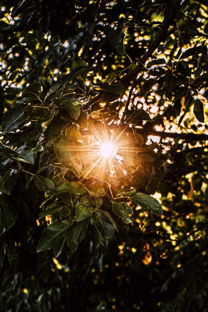 light
