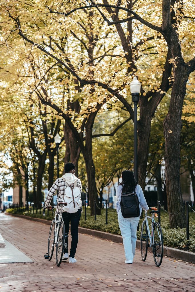 pexels-charlotte-may-5965979