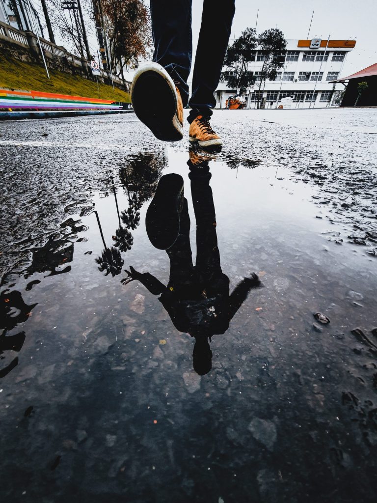 pexels-jonas-ferlin-2669218