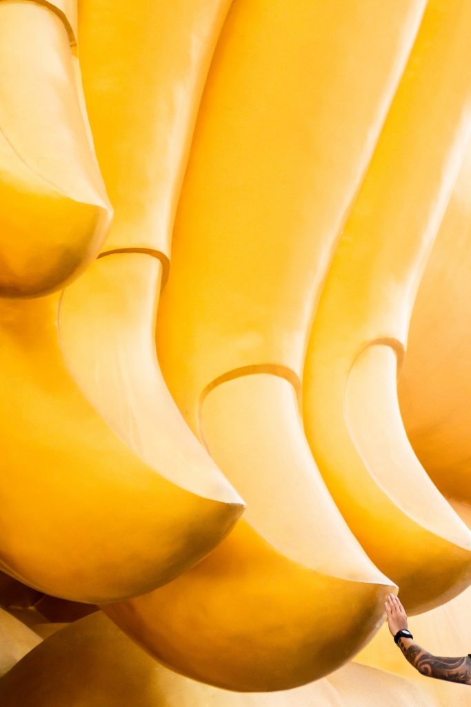 pexels-rathaphon-nanthapreecha-7528340