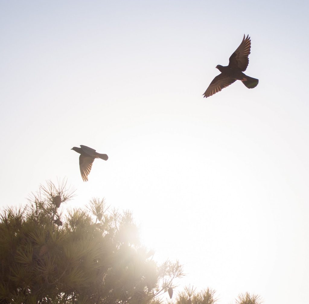 savvas-kalimeris-ITF6okD33dM-unsplash