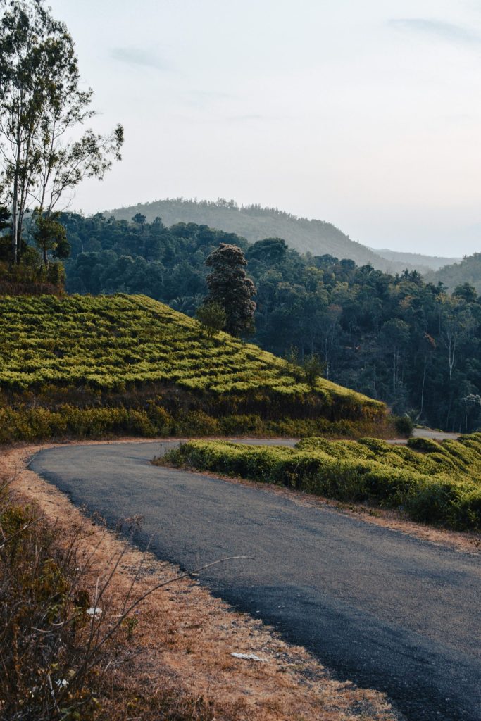 Road in India